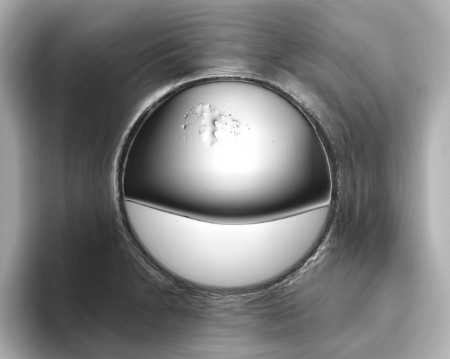 X0000093611230200710151010