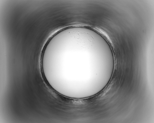 X0000093611231200710151010
