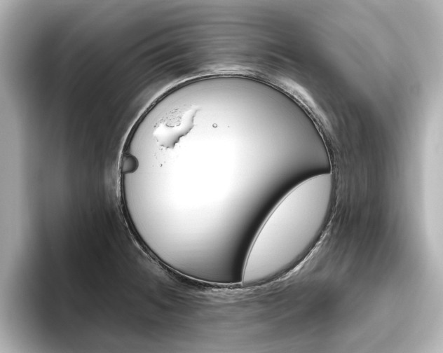 X0000093611236200710151010