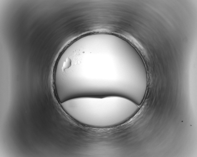 X0000093611240200710151010