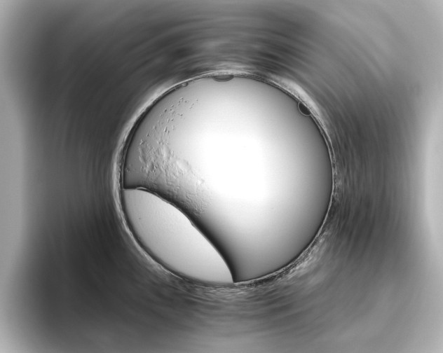 X0000093611243200710151010