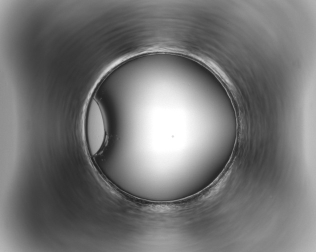 X0000093611246200710151010