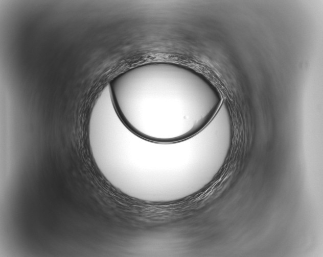 X0000093611253200710151010
