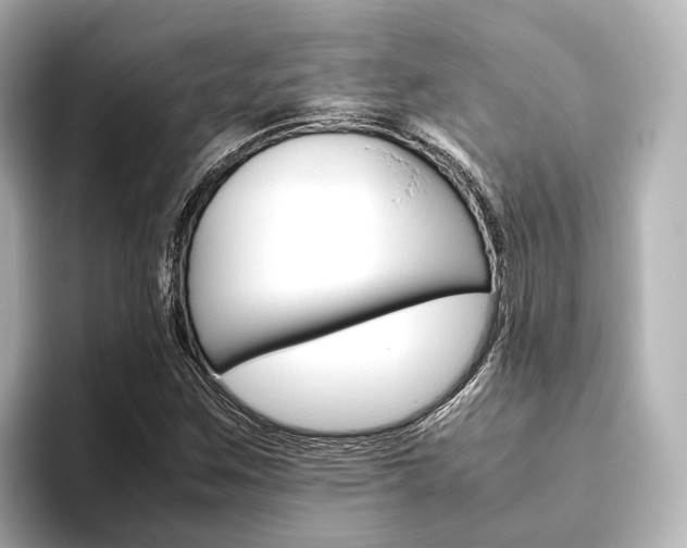 X0000093611259200710151009
