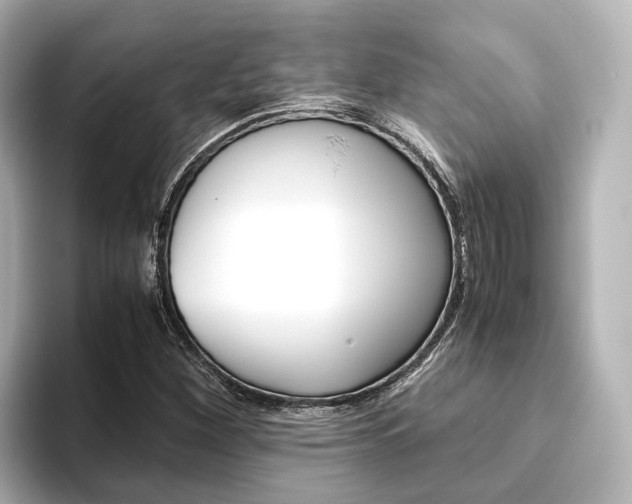 X0000093611260200710151009