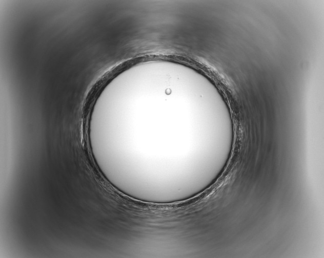 X0000093611262200710151009