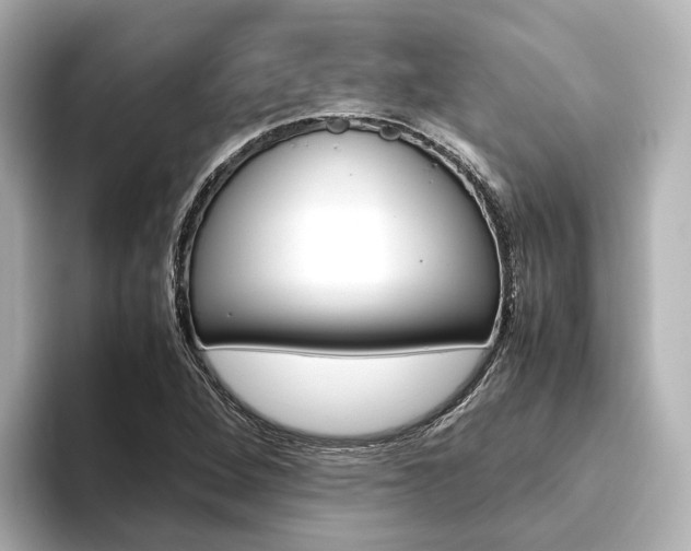 X0000093611264200710151009