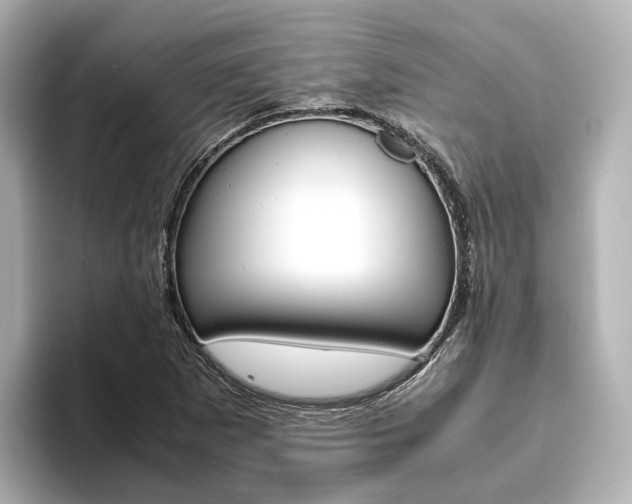 X0000093611265200710151009