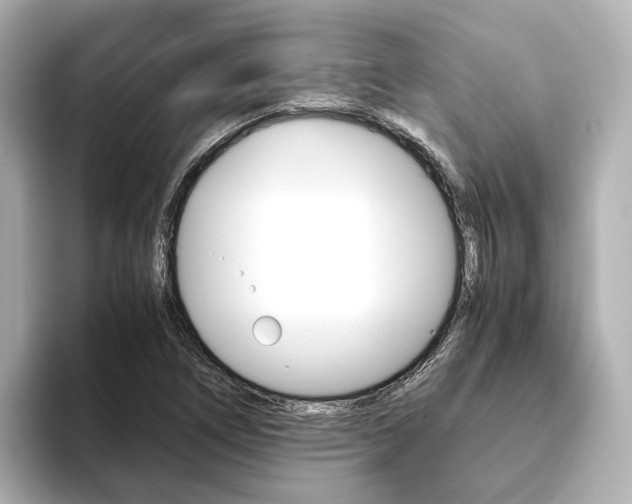 X0000093611266200710151009