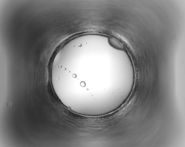X0000093611267200710151009