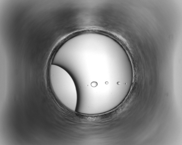X0000093611271200710151009