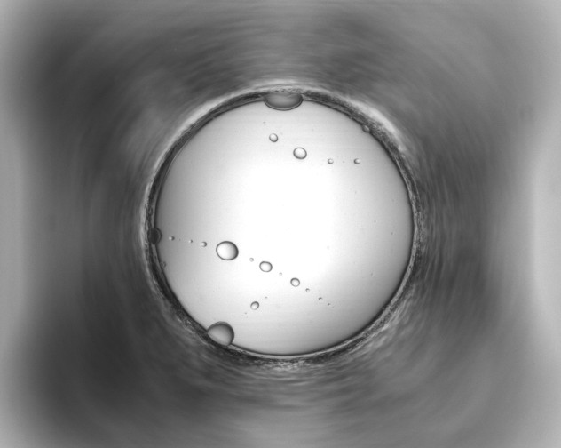 X0000093611279200710151009