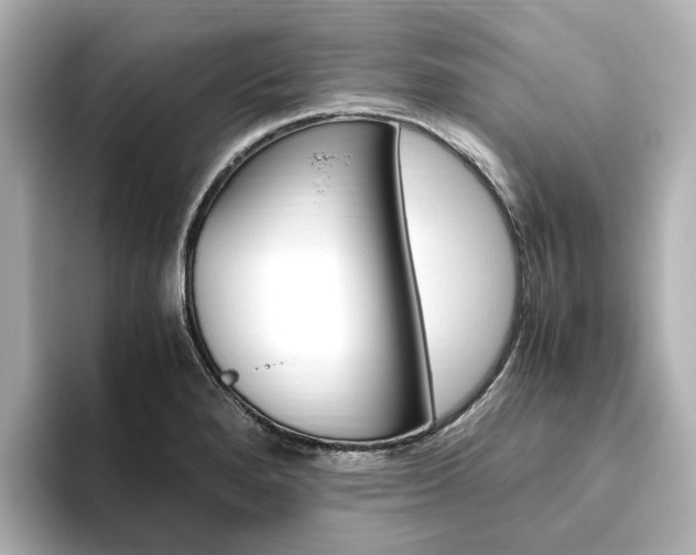 X0000093611280200710151009