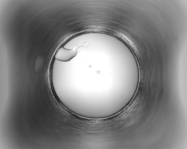 X0000093611283200710151009