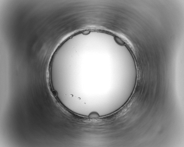 X0000093611287200710151009