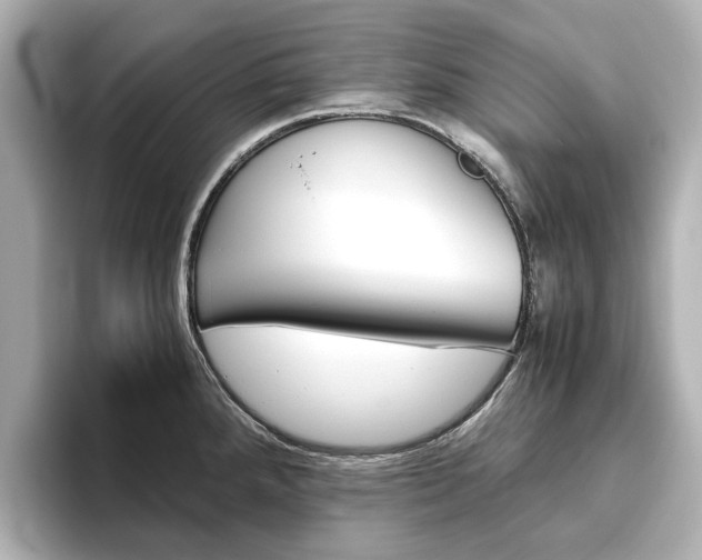 X0000093611288200710151009