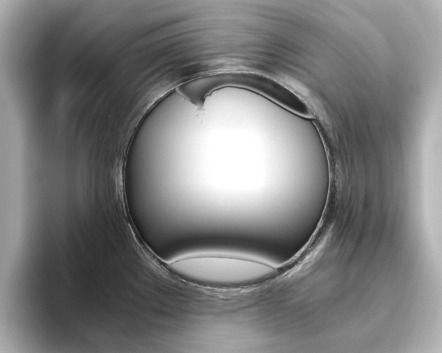 X0000093611289200710151009
