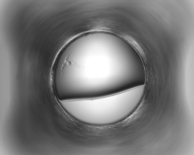 X0000093611292200710151009