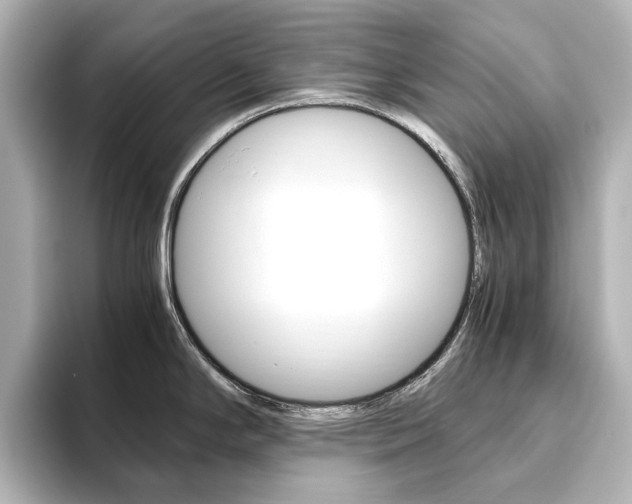 X0000093611294200710151009
