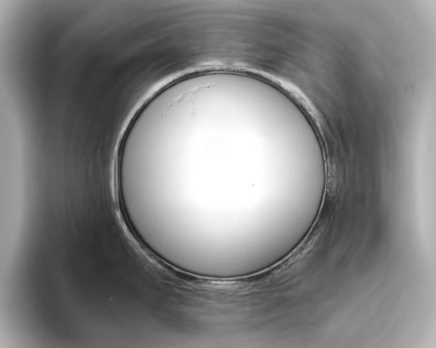 X0000093611295200710151009