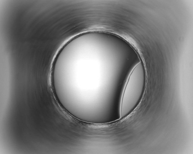X0000093611296200710151009