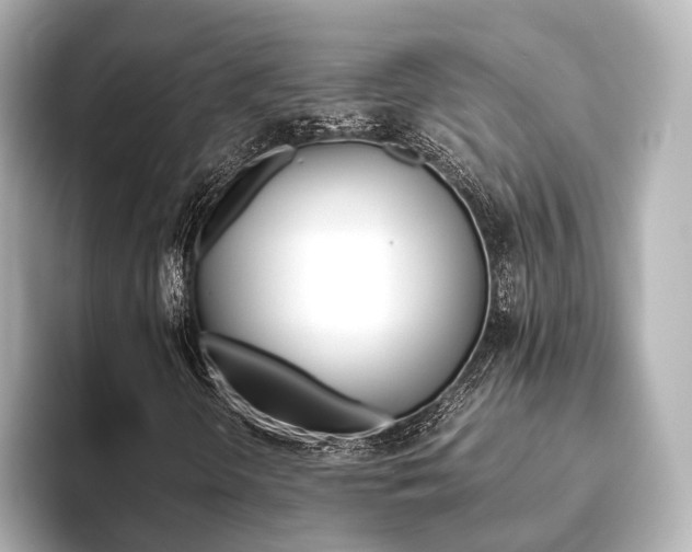 X0000093611298200710151008