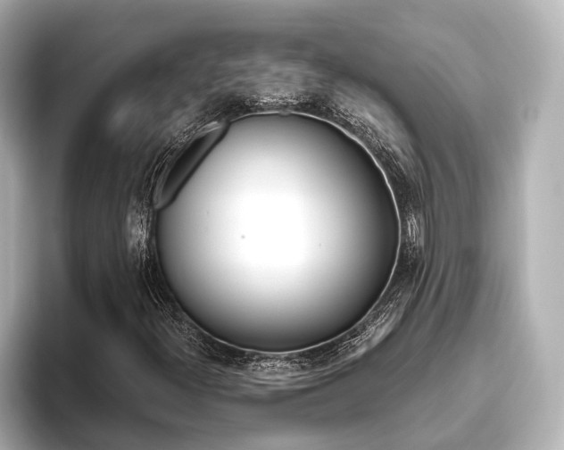 X0000093611300200710151009