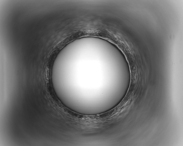 X0000093611301200710151009