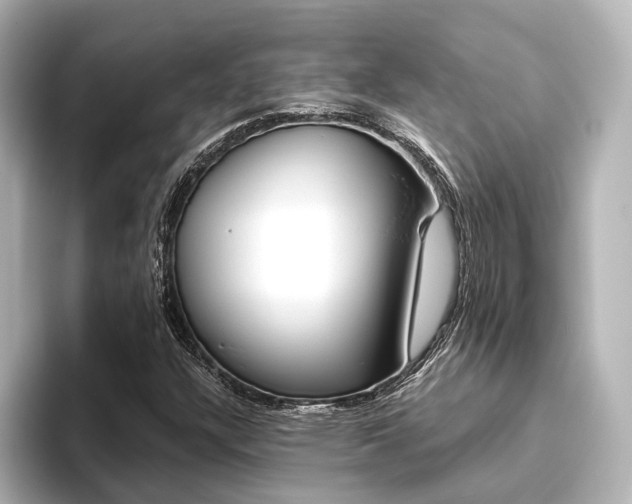 X0000093611304200710151009
