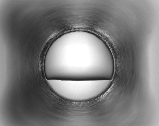 X0000093611306200710151009