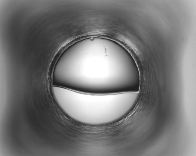 X0000093611308200710151009