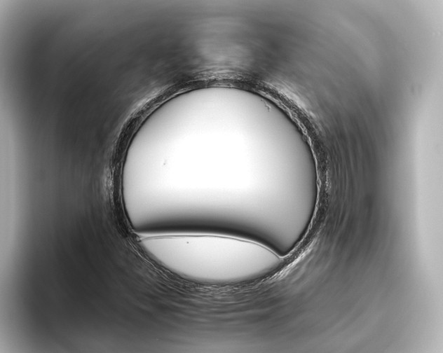 X0000093611309200710151009