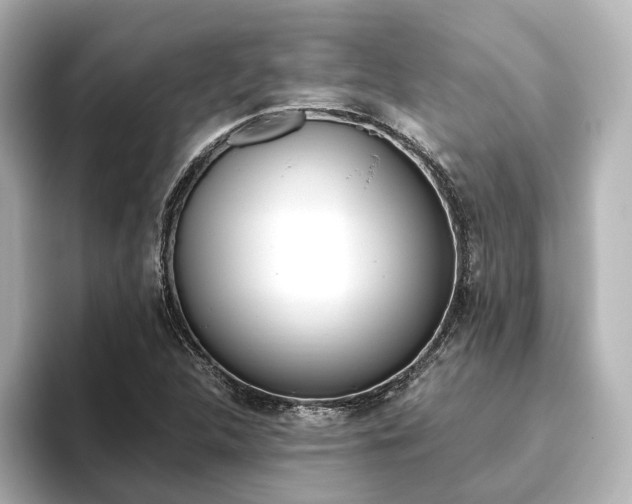 X0000093611312200710151009