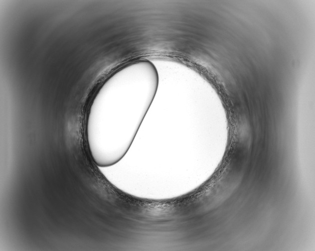 X0000093611314200710151009