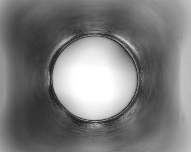 X0000093611317200710151009