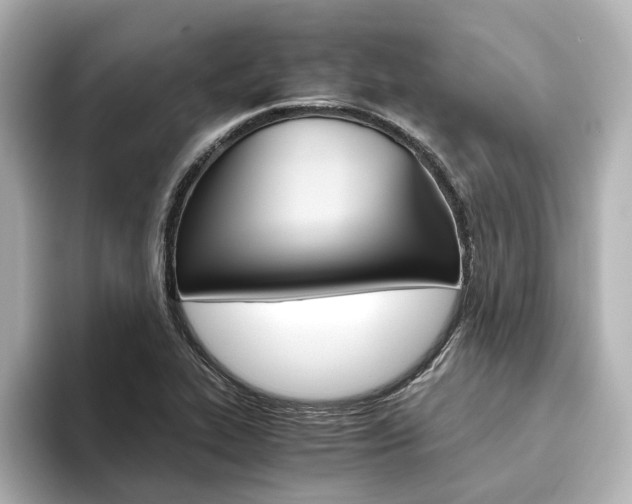 X0000093611319200710151009