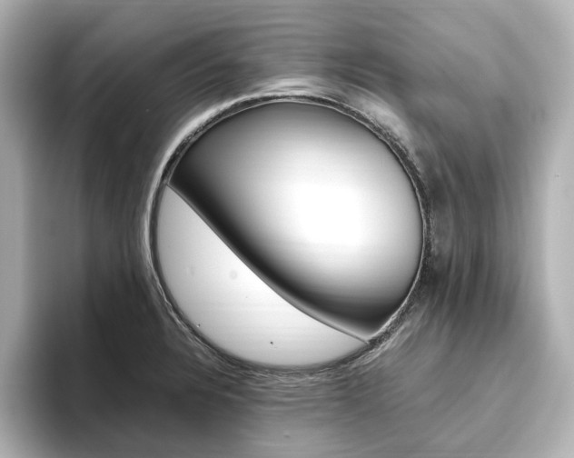 X0000093611328200710151009