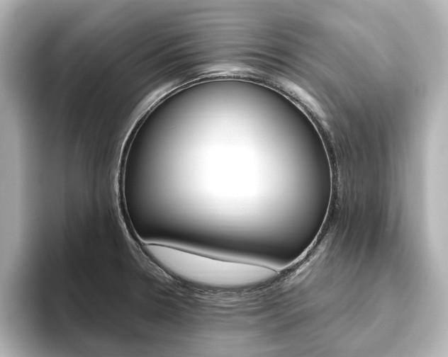 X0000093611330200710151009