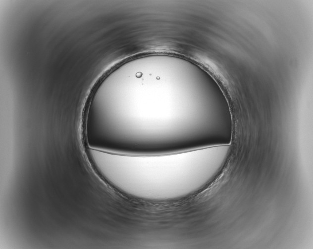 X0000093611331200710151009