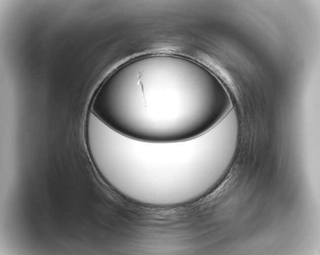 X0000093611332200710151009