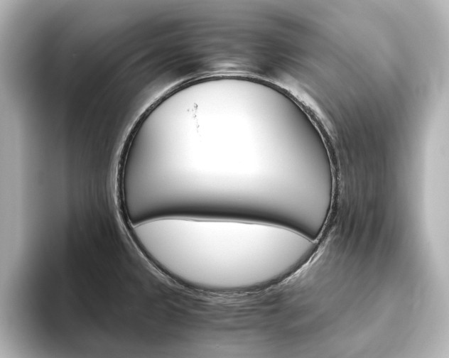 X0000093611333200710151009