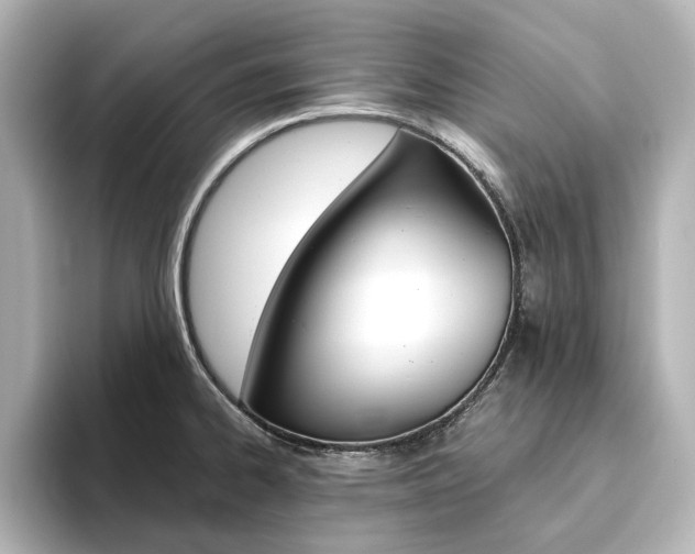 X0000093611334200710151009