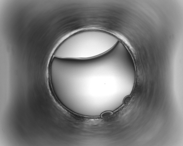 X0000093611335200710151009