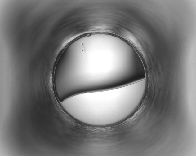 X0000093611336200710151009