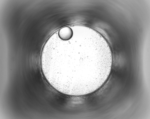 X0000093611338200710151009