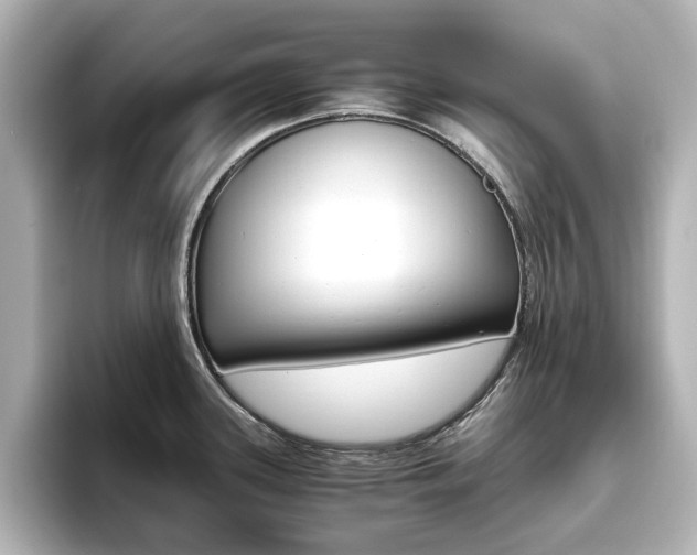 X0000093611339200710151009