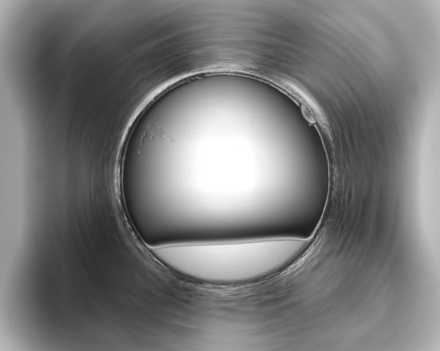 X0000093611340200710151009