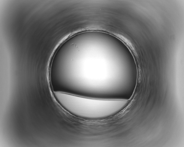 X0000093611342200710151009