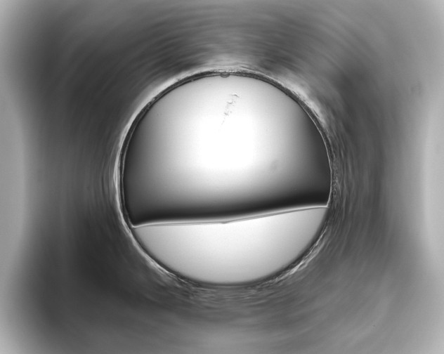 X0000093611343200710151009