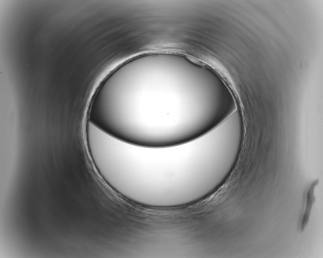 X0000093611344200710151009